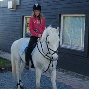 Connemara Banks Captain