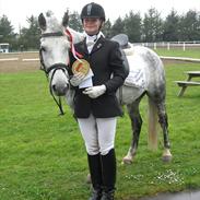 Tysk Sportspony ANTONIO-TABALUGA