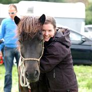 Islænder Ýfir fra Katulabo
