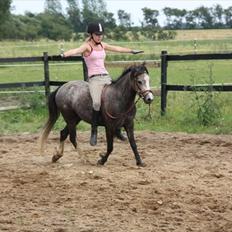 Welsh Mountain (sec A) Christella