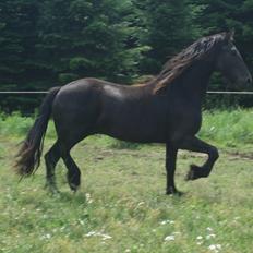 Frieser Eminenz af Hulkaer