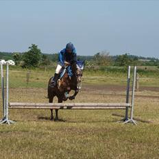 Anden særlig race Snefjer *Solgt* <3