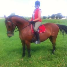 Anden særlig race Cassiopaya