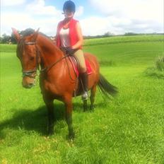 Anden særlig race Cassiopaya