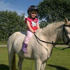 Anden særlig race Perle