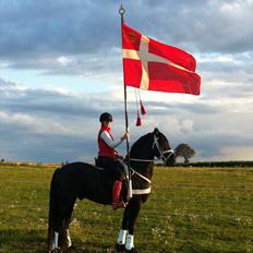 Frieser Zeus Fan Stennissegaard *SOLGT*
