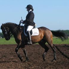 Oldenborg Bredevads Ramses