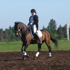 Oldenborg Bredevads Ramses