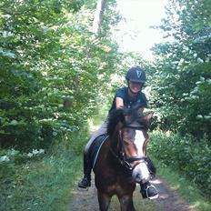 Anden særlig race Kaspar