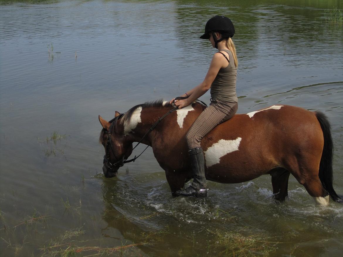 Pinto TIPPI<3  - 6. Fordi du elsker vand<3 Foto: Far. billede 6