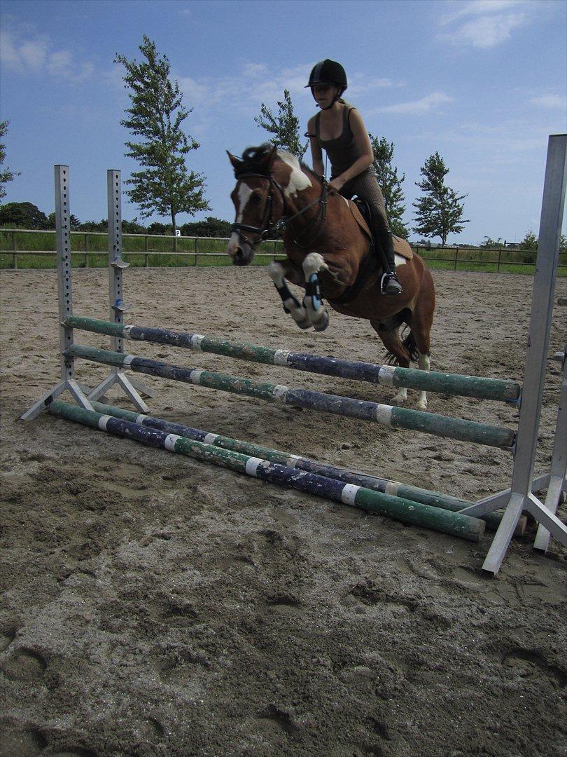 Pinto TIPPI<3  - 7. Fordi du elsker at springe og er god til det<3 Kig ikke på mig! Foto: Far. billede 7