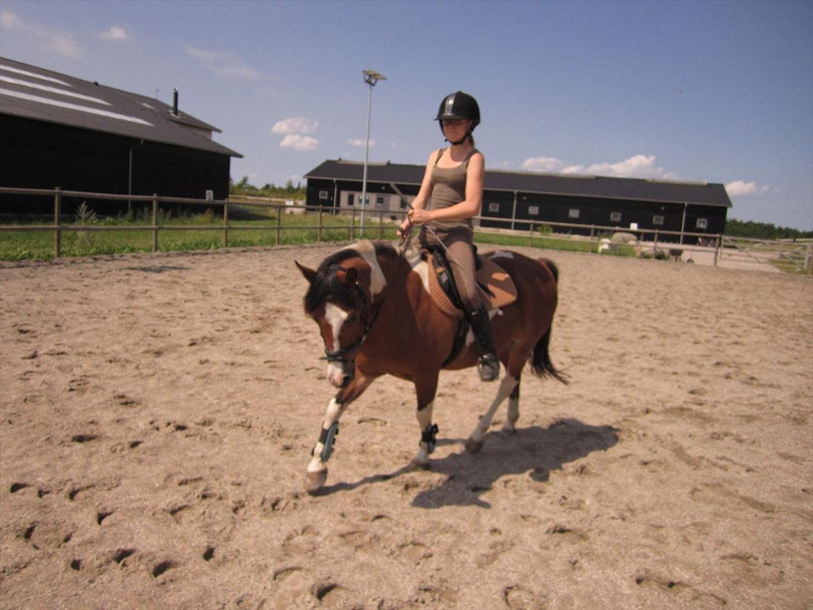 Pinto TIPPI<3  - 8. Fordi du er det bedste i mit liv<3 Foto: Far. billede 8