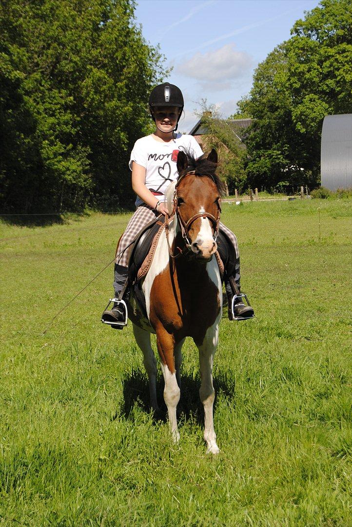 Anden særlig race Marijke - #18- De her 2 piger bliver nok dem jeg kommer til at savne mest når jeg skal på efterskole! For selvom vi har vores skænderier og vi er så stædige alle sammen, er de også dem jeg ved jeg altid kan regne med når jeg virkelig har brug for en <3 <3 [foto-mig billede 18