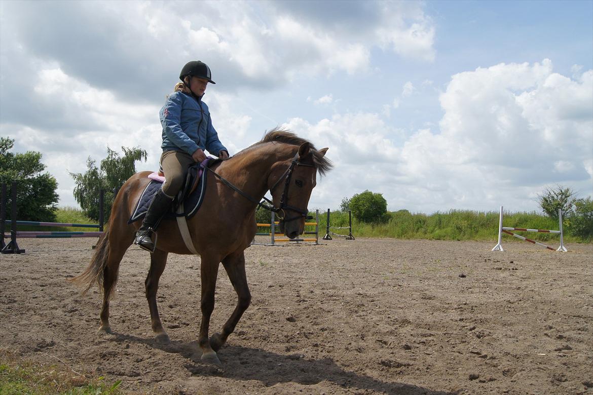 New Forest Diamond billede 8