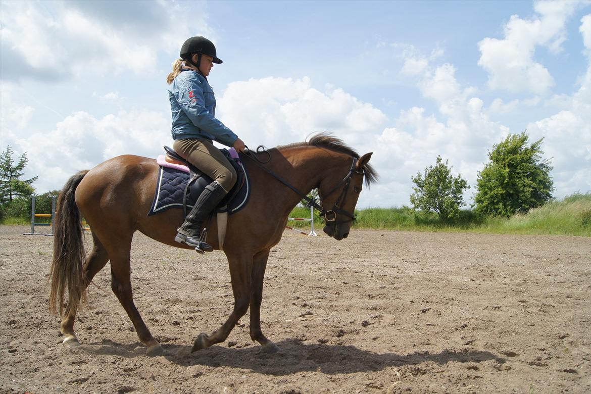 New Forest Diamond billede 9