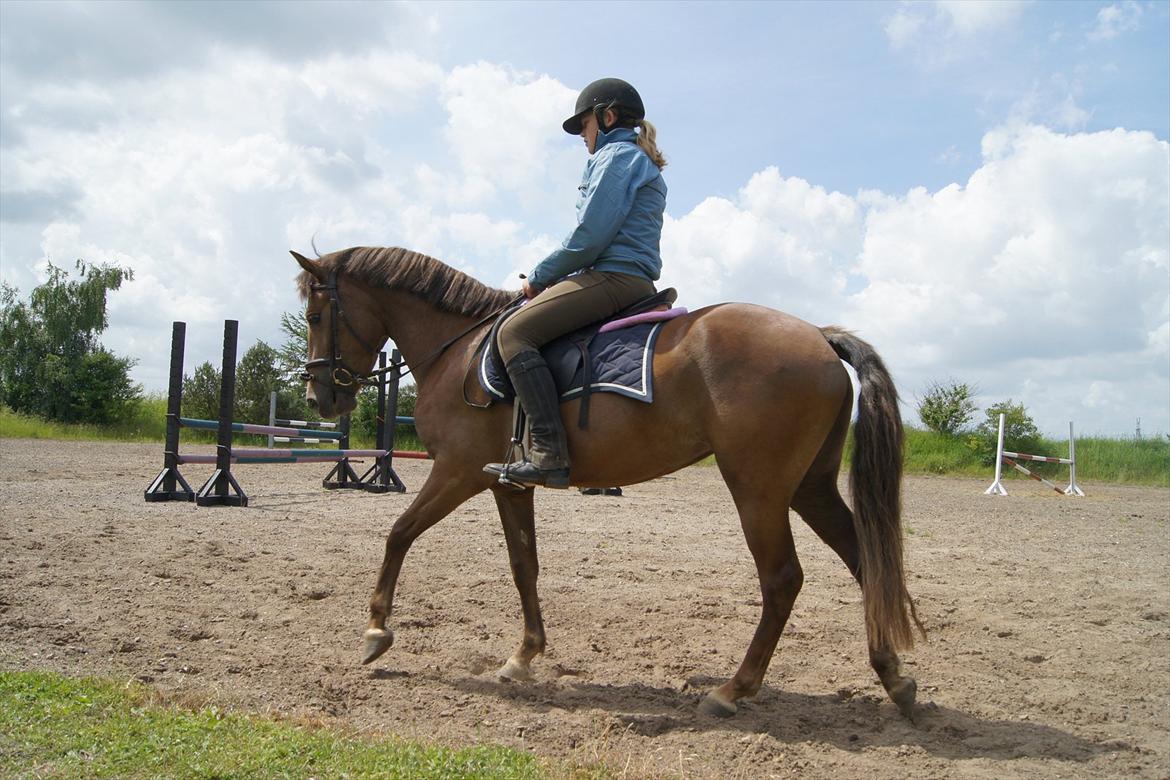 New Forest Diamond billede 11