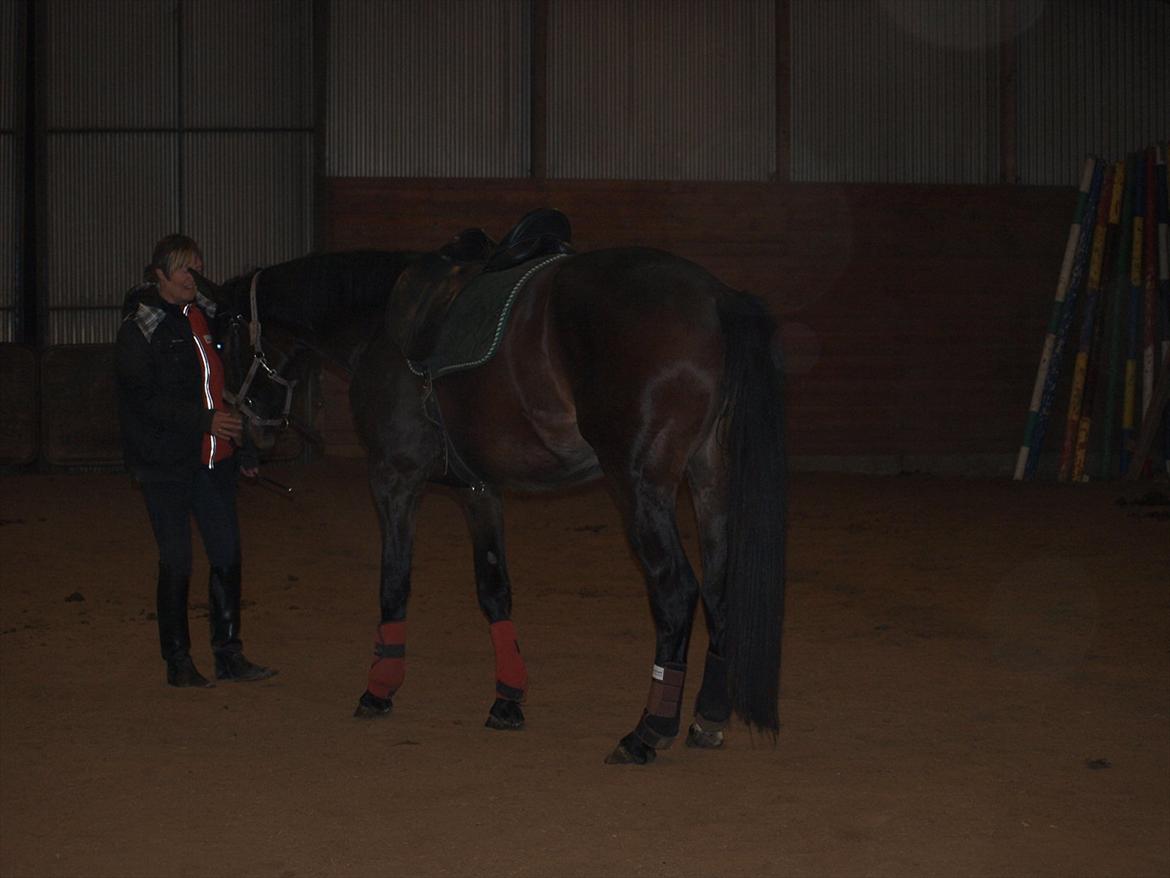 Hannoveraner Hotstuff R.I.P billede 4