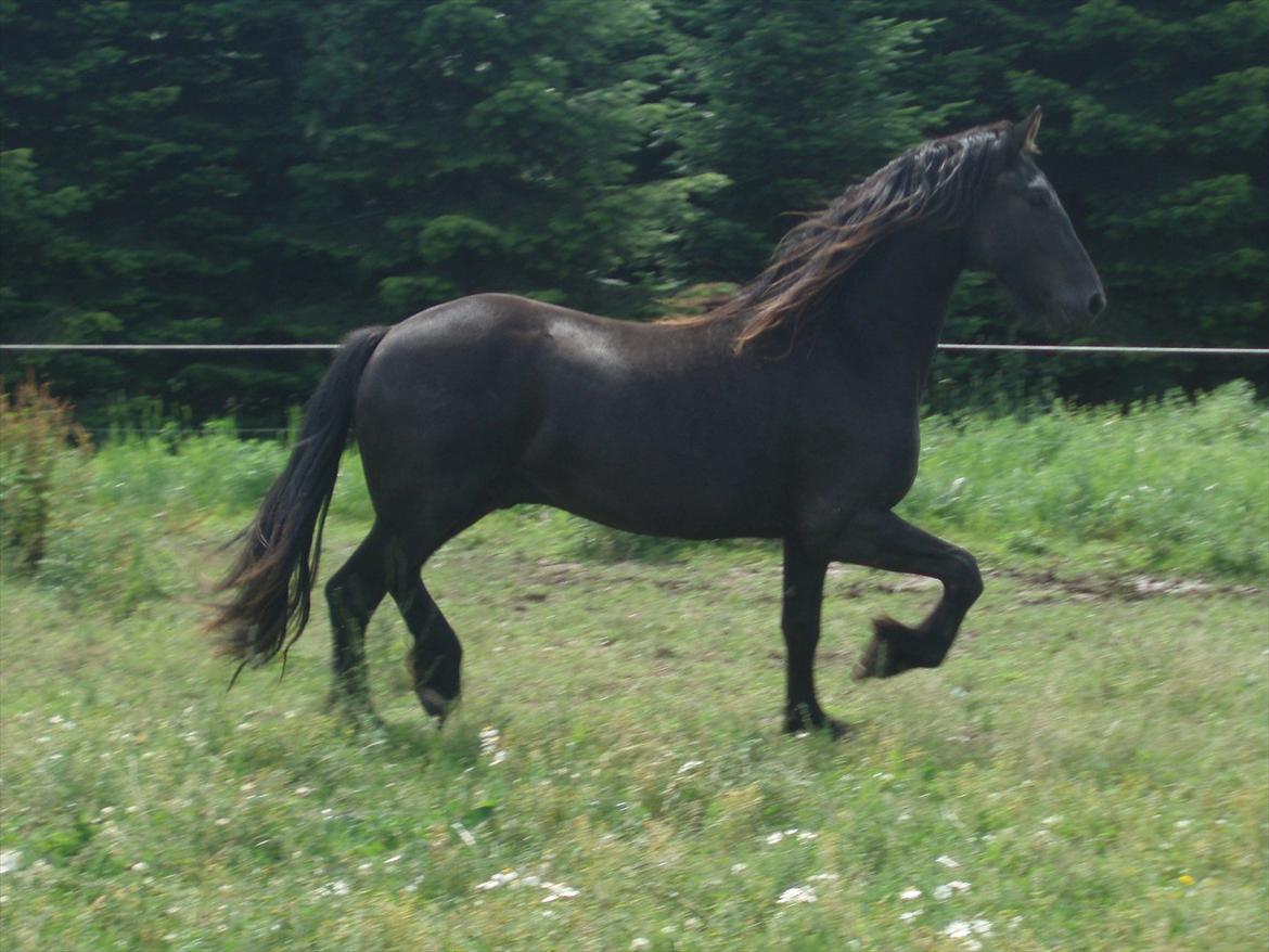 Frieser Eminenz af Hulkaer billede 3