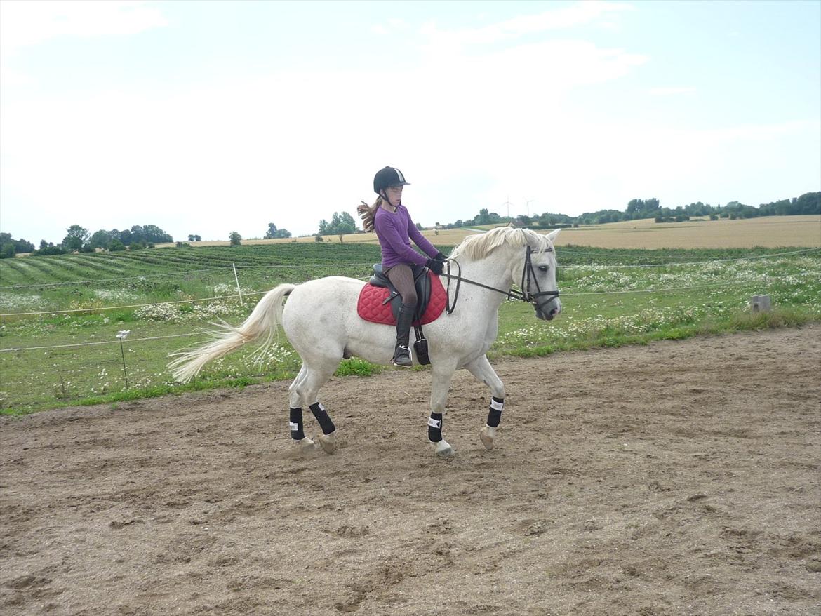 Anden særlig race Boss billede 15