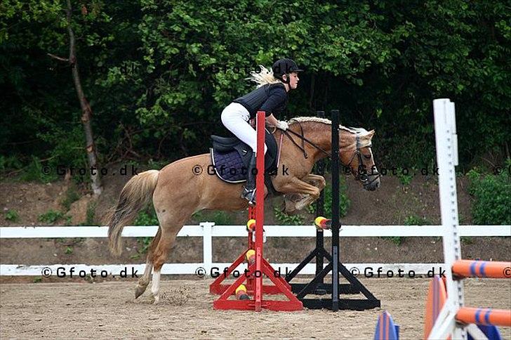 Anden særlig race Fie billede 8