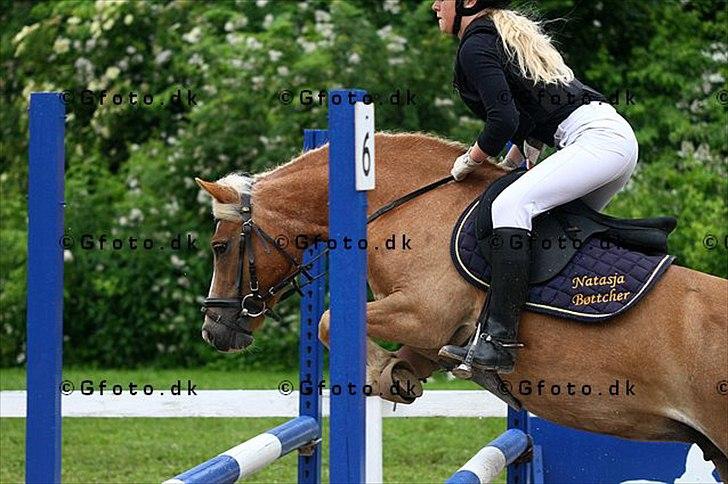 Anden særlig race Fie billede 9