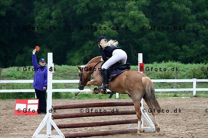 Anden særlig race Fie billede 10