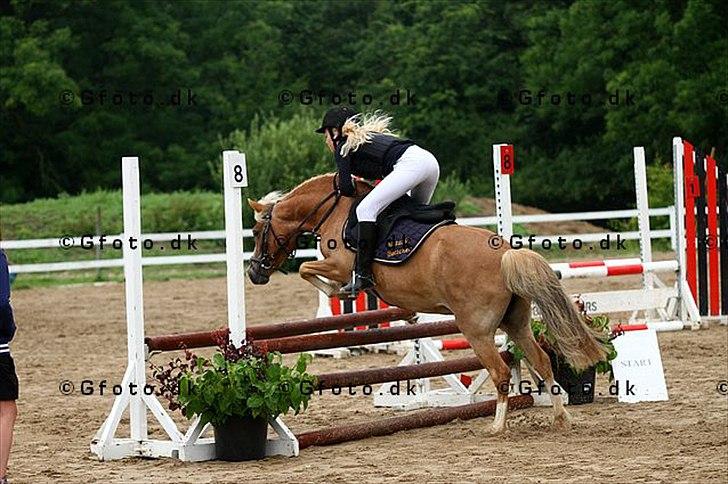 Anden særlig race Fie billede 11