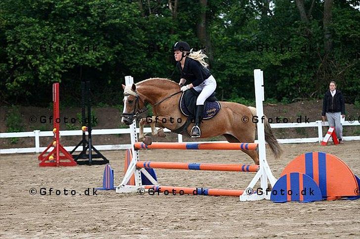 Anden særlig race Fie billede 13