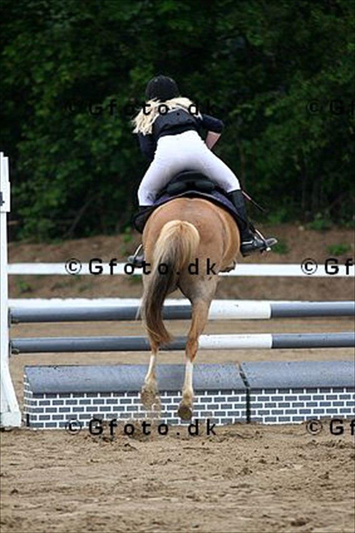Anden særlig race Fie billede 14
