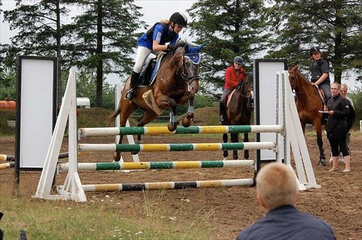 Anden særlig race Snefjer *Solgt* <3 - Rytterlejr 2010 
Højdespring .. Sprang 1,10 billede 2