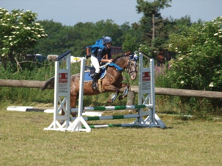 Anden særlig race Snefjer *Solgt* <3 - LD kostumespring Hodsager 2010 billede 4