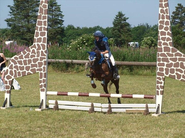 Anden særlig race Snefjer *Solgt* <3 - LD Kostumespring Hodsager 2010 billede 5