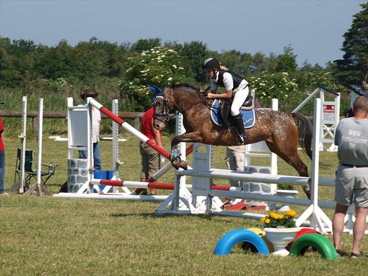 Anden særlig race Snefjer *Solgt* <3 - LC Hodsager 2010 billede 7