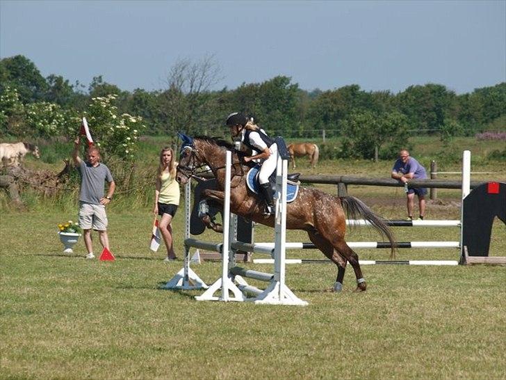 Anden særlig race Snefjer *Solgt* <3 - LC Hodsager 2010 billede 8