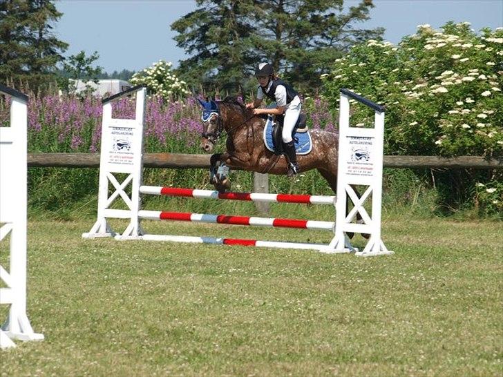 Anden særlig race Snefjer *Solgt* <3 - LC Hodsager 2010 billede 9