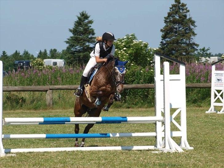 Anden særlig race Snefjer *Solgt* <3 - LC Hodsager 2010 billede 10