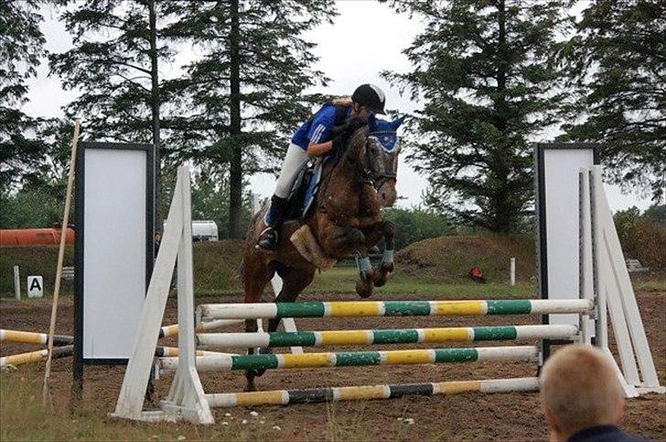 Anden særlig race Snefjer *Solgt* <3 - Rytterlejr 2010 Højdespring ..
Sprang 1,10 billede 11