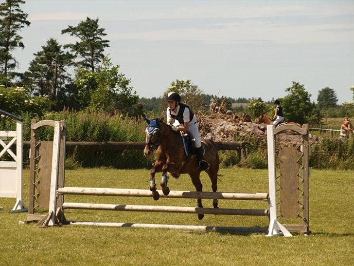 Anden særlig race Snefjer *Solgt* <3 - LC Hodsager 2010 billede 13