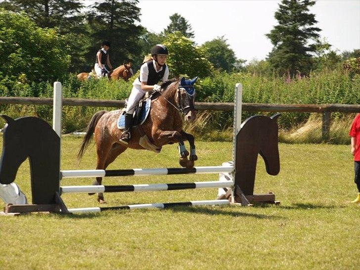 Anden særlig race Snefjer *Solgt* <3 - LC Hodsager 2011 billede 14