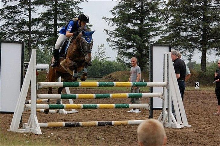 Anden særlig race Snefjer *Solgt* <3 - Rytterlejr 2010 Højdespring..
Sprang 1,10 billede 15