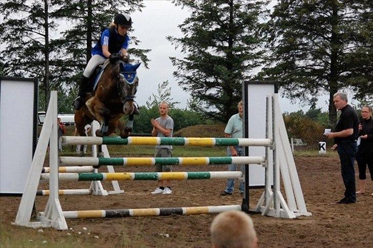 Anden særlig race Snefjer *Solgt* <3 - Rytterlejr 2010 Højdespring..
Sprang 1,10 billede 16