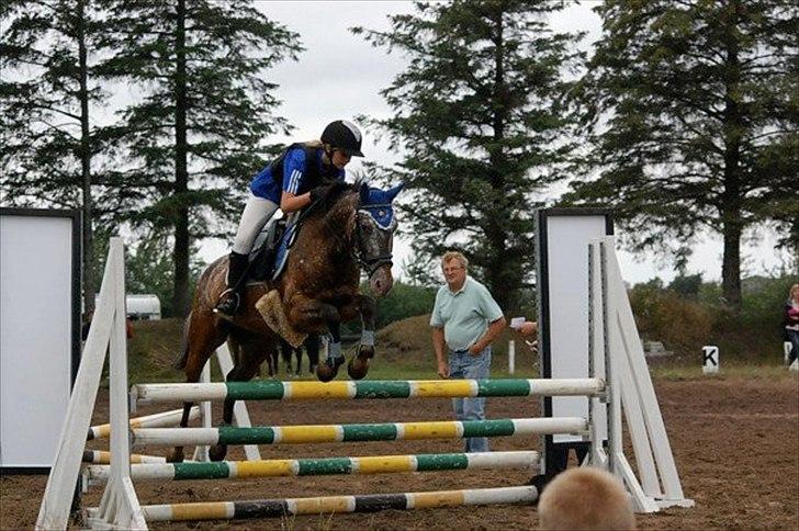 Anden særlig race Snefjer *Solgt* <3 - Rytterlejr 2010 Højdespring..
Sprang 1,10 billede 17