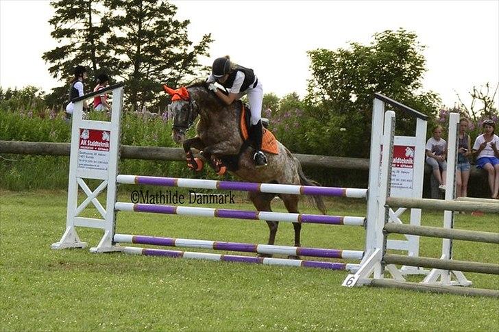 Anden særlig race Snefjer *Solgt* <3 - LA Hodsager 2011.
4.Plads billede 19