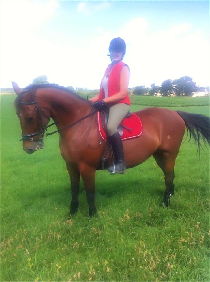 Anden særlig race Cassiopaya - Der er knald på damen, men hun er super dejlig og ride på billede 2