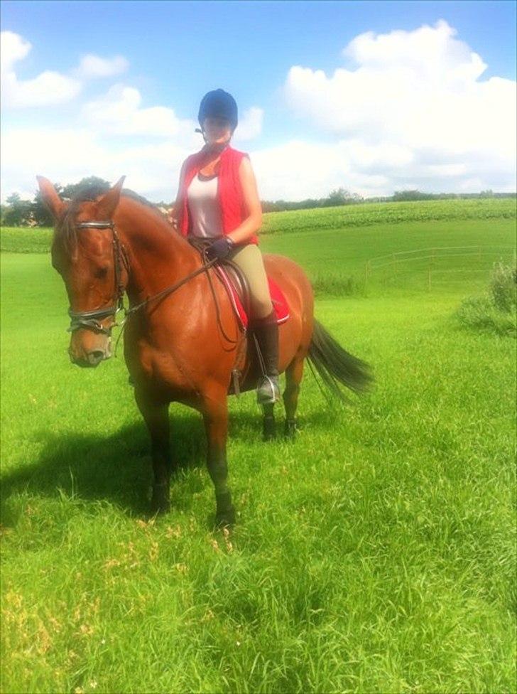 Anden særlig race Cassiopaya - Vores første ridetur sammen  billede 1