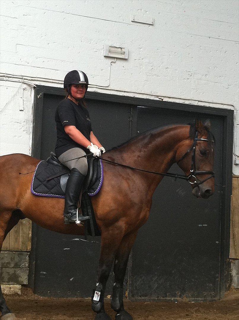 Anden særlig race Samuel (Sherlock) R.I.P billede 10