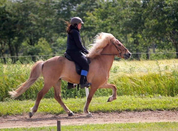 Islænder Keilir Fra Tybrind billede 9