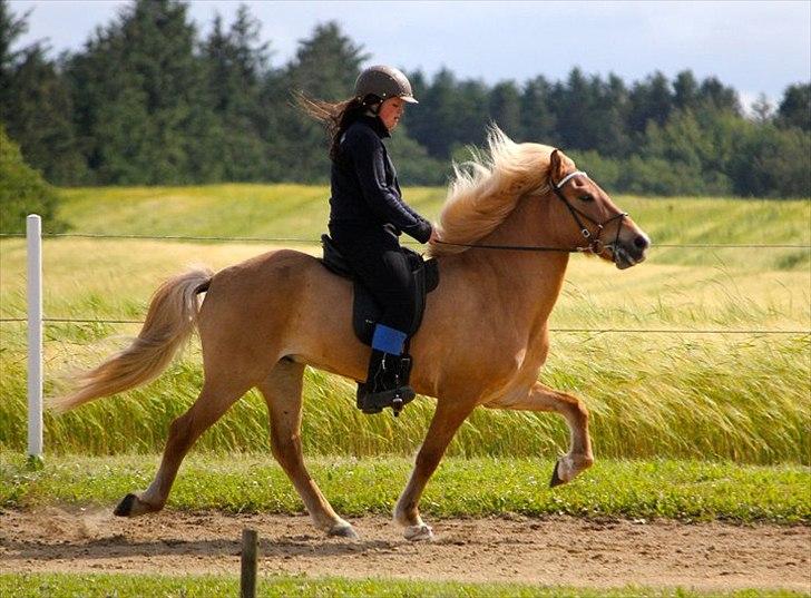 Islænder Keilir Fra Tybrind billede 10