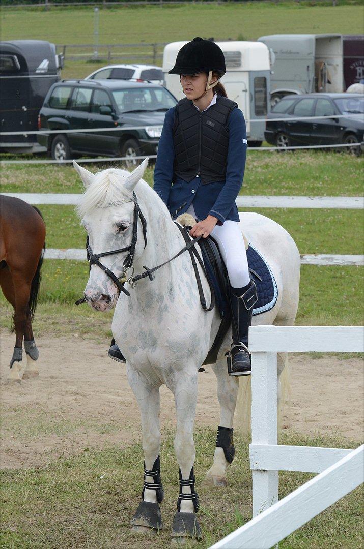 Knabstrupper Zeba, min bedste ven :* - Vores sidste stævne sammen! Jeg elsker dig mere end noget andet, du tager mig tættere på himlen minskat! :* billede 20