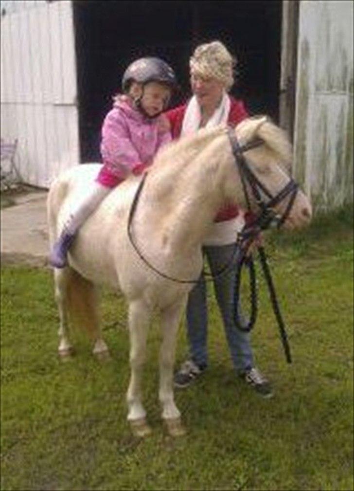 Anden særlig race Perle - Min ældste ejer-pige Rebecca sidder på mig første gang... :) <3 billede 14